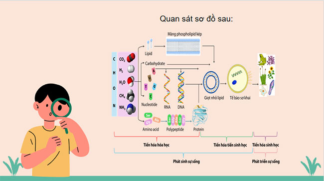Giáo án KHTN 9 Chân trời sáng tạo Bài 48