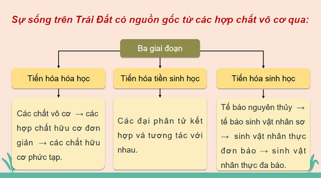 Giáo án KHTN 9 Chân trời sáng tạo Bài 48