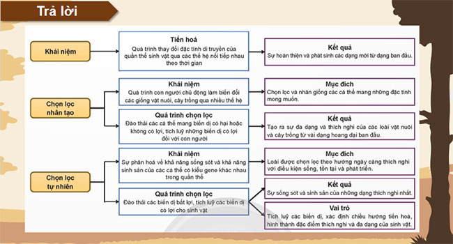 PowerPoint KHTN 9 Ôn tập chủ đề 12