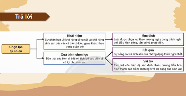 PowerPoint KHTN 9 Ôn tập chủ đề 12