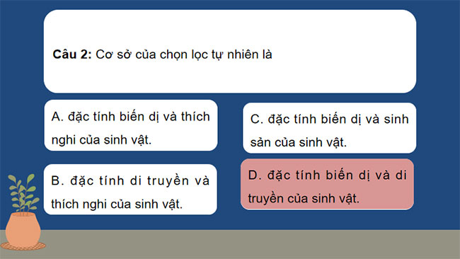 PowerPoint KHTN 9 Ôn tập chủ đề 12