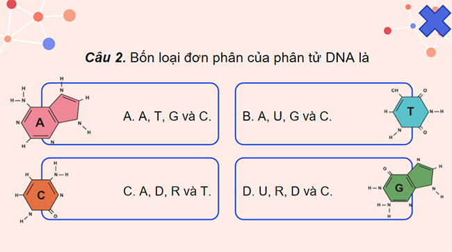 PowerPoint KHTN 9 Ôn tập chủ đề 11