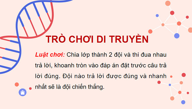 PowerPoint KHTN 9 Ôn tập chủ đề 11