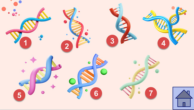 PowerPoint KHTN 9 Ôn tập chủ đề 11