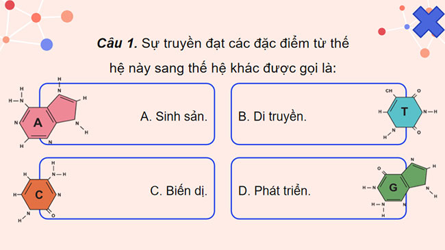 PowerPoint KHTN 9 Ôn tập chủ đề 11