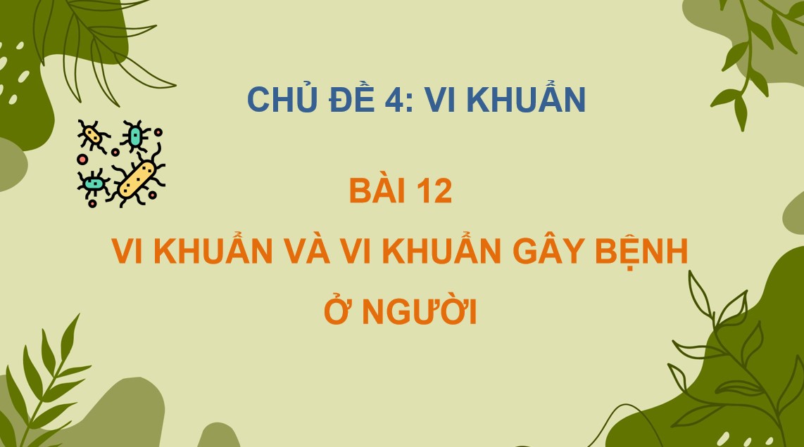 Giáo án PowerPoint Khoa học 5 Cánh Diều Bài 12