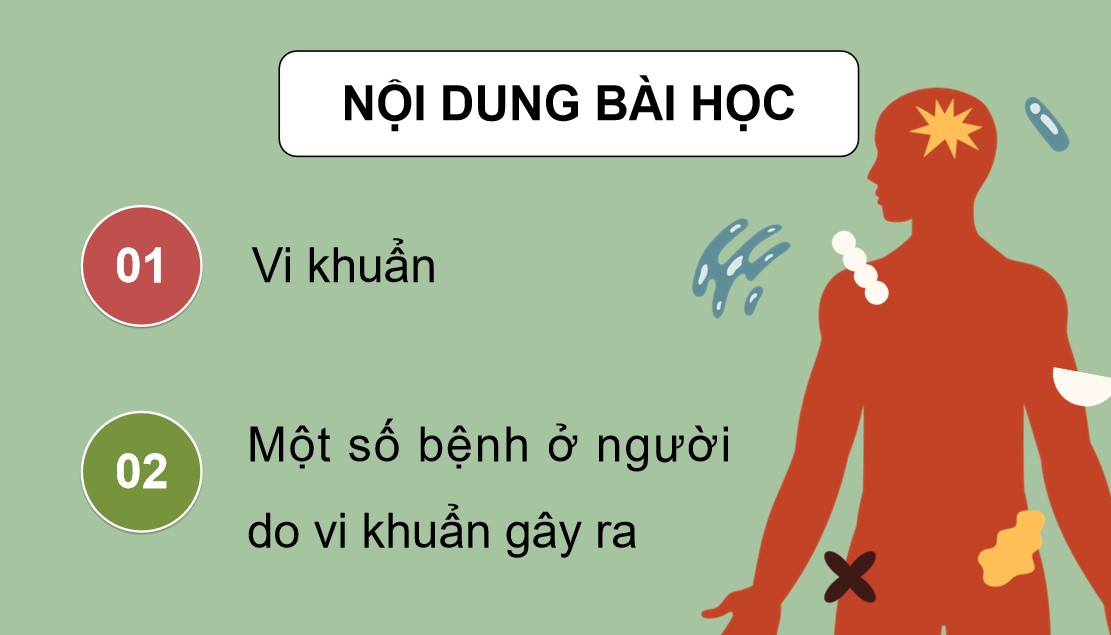 Giáo án PowerPoint Khoa học 5 Cánh Diều Bài 12