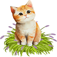 PowerPoint Tiếng Việt 4 Bài 6: Viết đoạn mở bài và đoạn kết bài cho bài văn miêu tả con vật