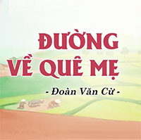 PowerPoint Ngữ Văn 8 Bài 2: Đường về quê mẹ