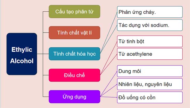 PowerPoint KHTN 9 Bài tập Chủ đề 8