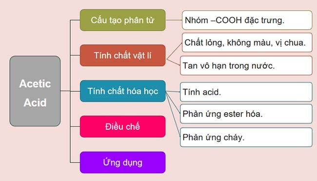 PowerPoint KHTN 9 Bài tập Chủ đề 8
