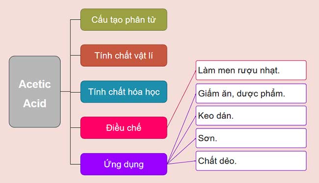 PowerPoint KHTN 9 Bài tập Chủ đề 8