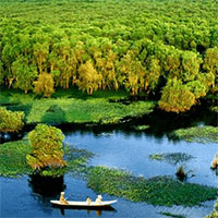 Cảm nhận bài thơ Đi trong hương tràm