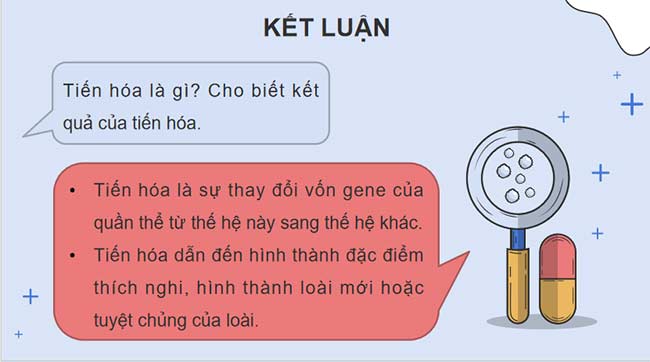 PowerPoint KHTN 9 Bài 42 Cánh diều