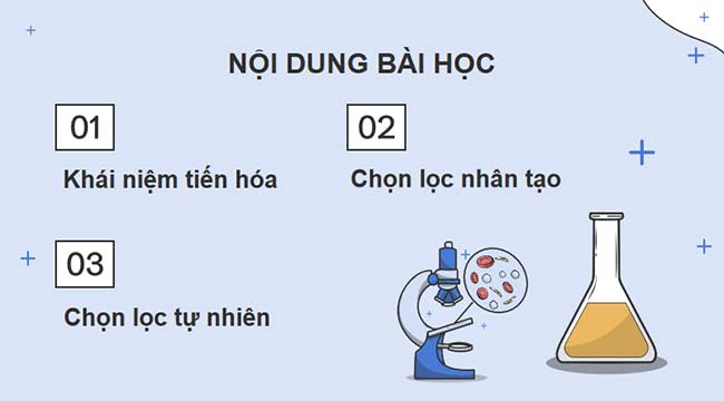 PowerPoint KHTN 9 Bài 42 Cánh diều