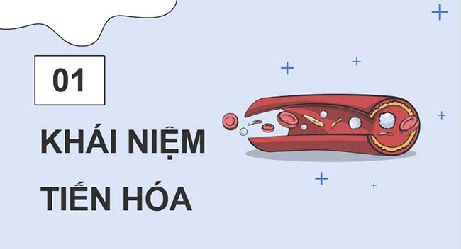 PowerPoint KHTN 9 Bài 42 Cánh diều