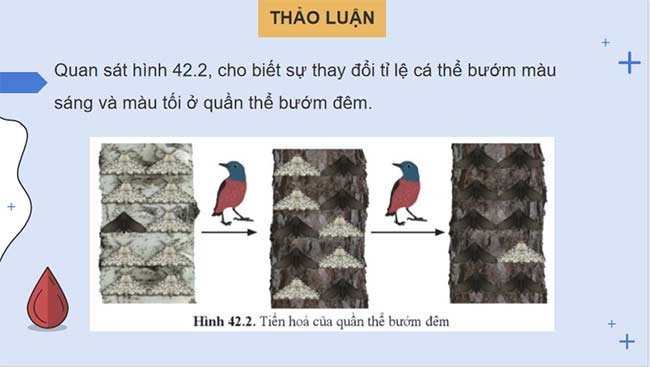 PowerPoint KHTN 9 Bài 42 Cánh diều