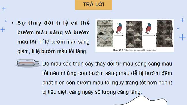 PowerPoint KHTN 9 Bài 42 Cánh diều