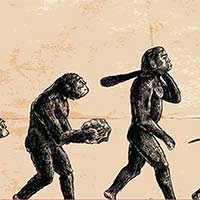 PowerPoint Khoa học tự nhiên 9 Bài 43: Cơ chế tiến hoá