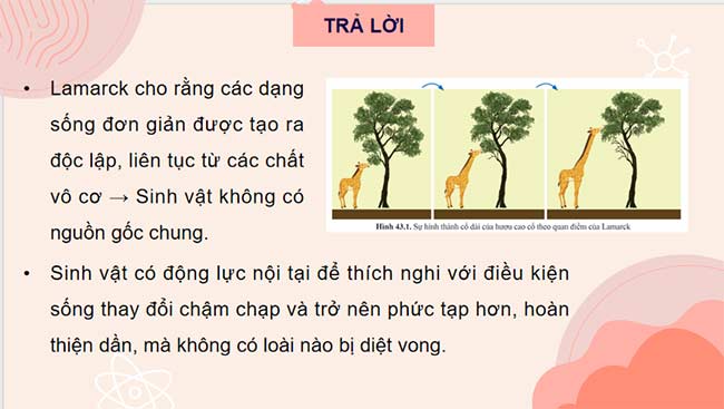 PowerPoint KHTN 9 Bài 43 Cánh diều