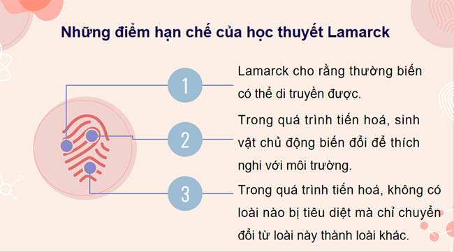 PowerPoint KHTN 9 Bài 43 Cánh diều