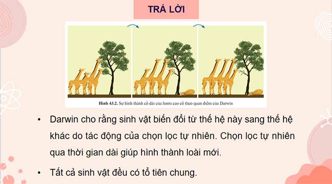 PowerPoint KHTN 9 Bài 43 Cánh diều