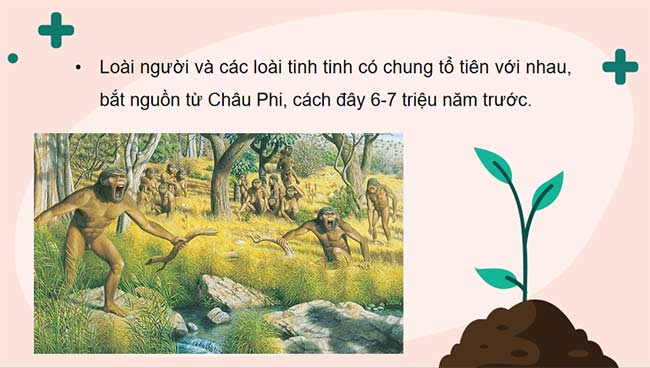 PowerPoint KHTN 9 Bài 44 Cánh diều