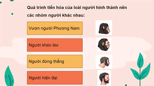 PowerPoint KHTN 9 Bài 44 Cánh diều