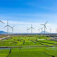 PowerPoint Khoa học tự nhiên 9: Bài tập Chủ đề 5