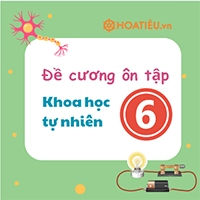 Đề cương giữa kì 2 lớp 6 môn Khoa học tự nhiên năm 2025