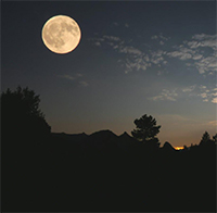 PowerPoint Ngữ Văn 8 Bài 9: Cảnh khuya