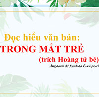 PowerPoint Ngữ Văn 8 Bài 6: Trong mắt trẻ