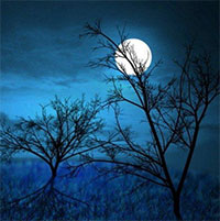 PowerPoint Ngữ Văn 8 Bài 7: Cảnh khuya