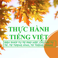PowerPoint Ngữ Văn 8 Bài 7: Thực hành tiếng Việt