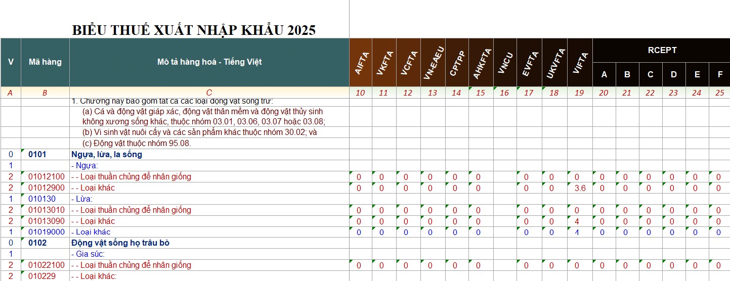 Biểu thuế xuất nhập khẩu 2025 File Excel
