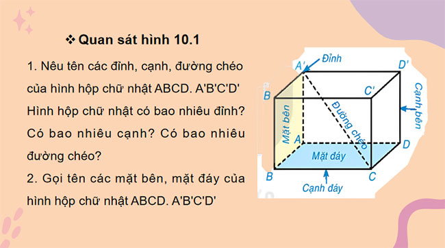 Giáo án Toán 7 Bài 36 Kết nối tri thức