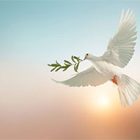 PowerPoint Tiếng Việt 5 Bài 16: Biểu tượng của hoà bình