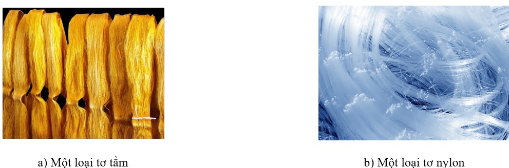 Đề thi cuối kì 2 KHTN 9 Cánh Diều có đáp án