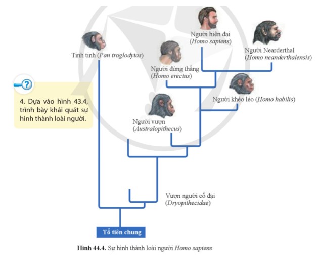 Đề thi cuối kì 2 KHTN 9 Cánh Diều có đáp án