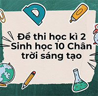 Đề thi học kì 2 Sinh học 10 Chân trời sáng tạo