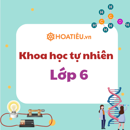 Bộ đề thi học kì 1 Khoa học tự nhiên 6 Theo CV 7991