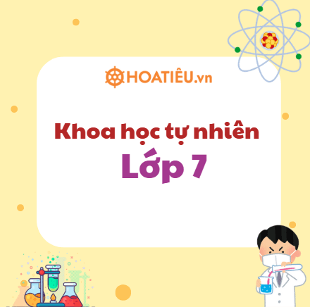 Bài tập Hóa học lớp 7 KHTN