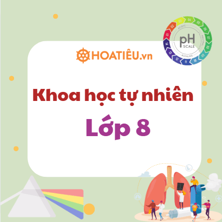 Bộ đề thi học kì 1 Khoa học tự nhiên 8 Theo CV 7991 