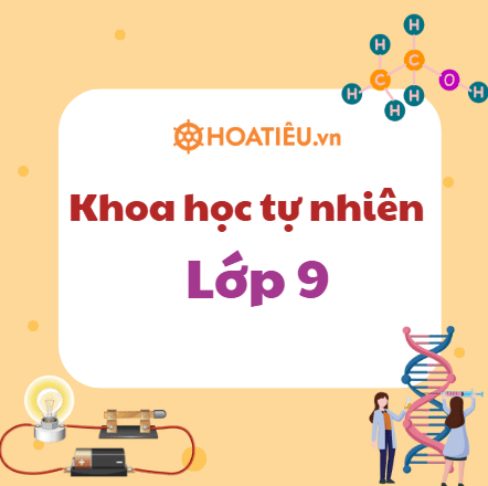 Bài tập KHTN 9 Chương 1 Năng lượng cơ học