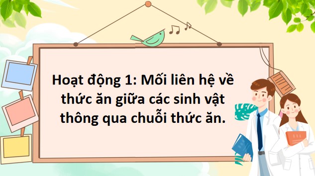 PowerPoint Bài 29: Chuỗi thức ăn trong tự nhiên