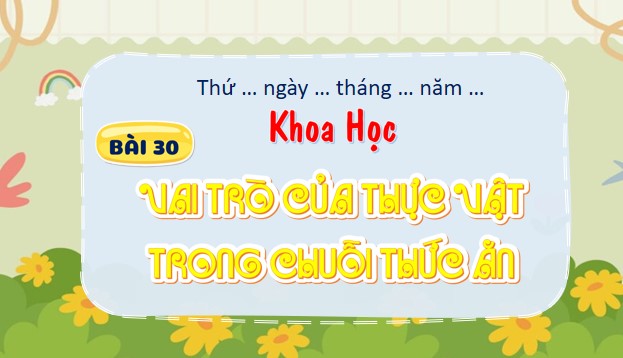 PowerPoint Bài 30: Vai trò của thực vật trong chuỗi thức ăn