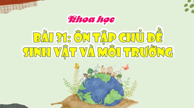 PowerPoint Bài 31: Ôn tập chủ đề Sinh vật và môi trường