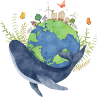 PowerPoint Khoa học 4 Bài 31: Ôn tập chủ đề Sinh vật và môi trường