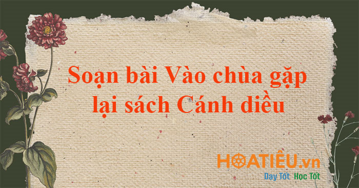 Soạn bài Vào chùa gặp lại