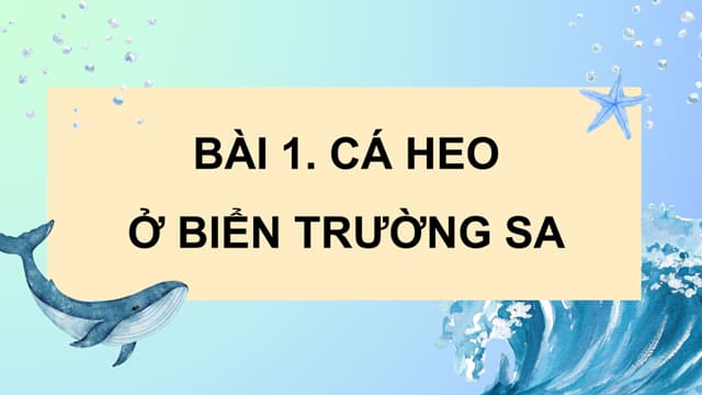 PowerPoint Đọc: Cá heo ở biển Trường Sa
